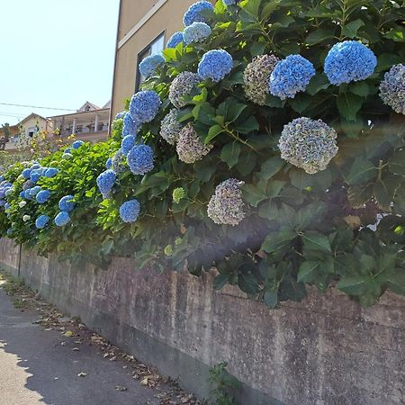 ブエウ A Casa Da Piruletaヴィラ エクステリア 写真